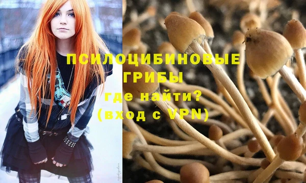 прущие крисы Хадыженск