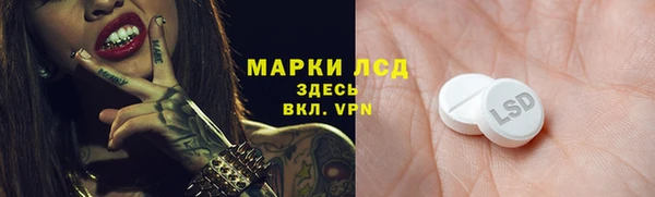 гашик Богородицк