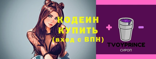 гашик Богородицк