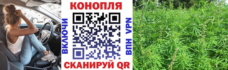 Каннабис MAZAR Горячеводский